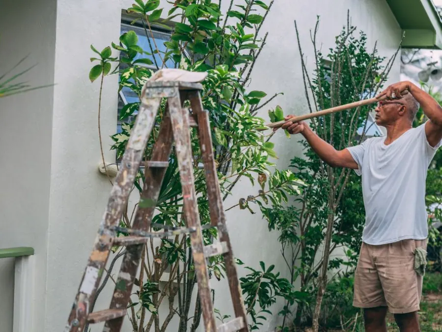A person painting a residential exterior wall with a roller beside a ladder — illustrative stock photo